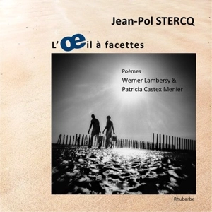 L'oeil à facettes - Jean-Pol Stercq