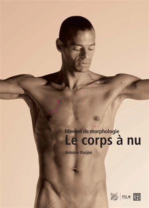 Le corps à nu : manuel de morphologie - Antoine Barjini