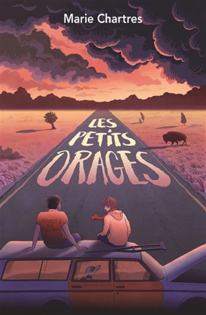 Les petits orages - Marie Chartres