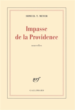 Impasse de la providence. Jours de fête - Shmuel T. Meyer