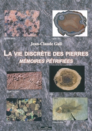 La vie discrète des pierres : mémoires pétrifiées - Jean-Claude Gall