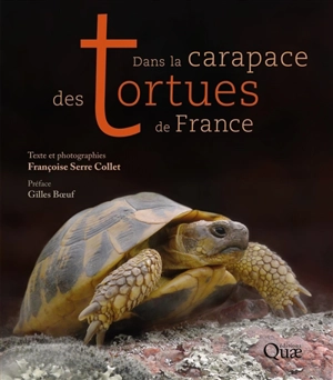 Dans la carapace des tortues de France - Françoise Serre-Collet