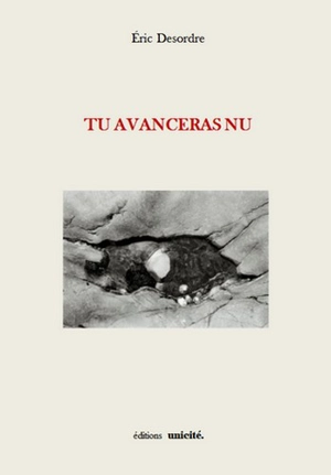 Tu avanceras nu - Eric Desordre