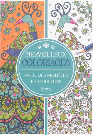 Merveilleux coloriages : avec des modèles en couleur - Cindy Wilde