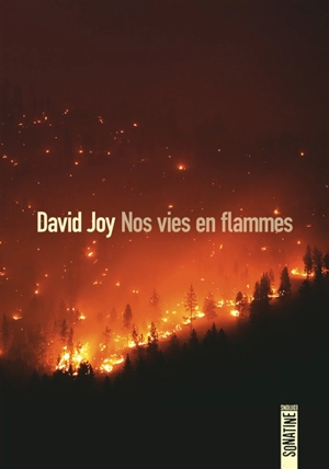 Nos vies en flammes - David Joy