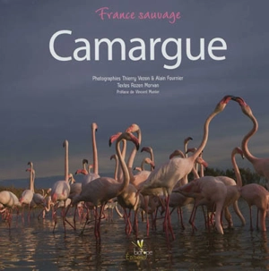 Camargue sauvage - Thierry Vezon