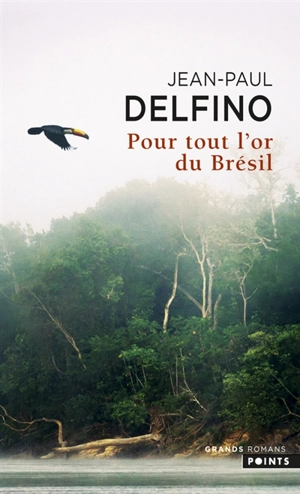 Pour tout l'or du Brésil - Jean-Paul Delfino