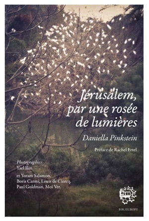 Jérusalem, par une rosée de lumières - Daniella Pinkstein