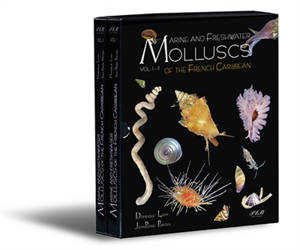 Marine and freshwater molluscs of the French Caribbean - Dominique Lamy