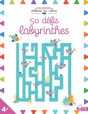 50 défis labyrinthes - Isabel Aniel