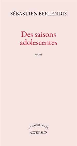 Des saisons adolescentes : récits - Sébastien Berlendis