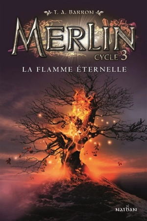 Merlin : cycle 3. Vol. 3. La flamme éternelle - T.A. Barron