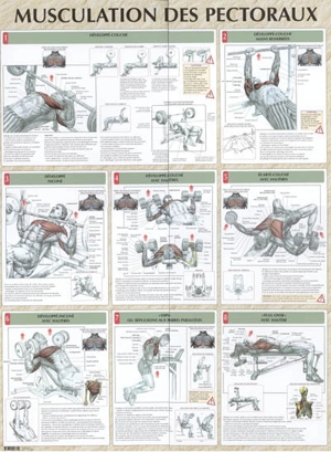 Musculation des pectoraux - Frédéric Delavier