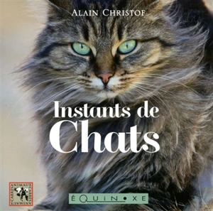 Instants de chats - Alain Christof