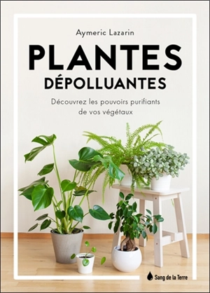 Plantes dépolluantes : découvrez les pouvoirs purifiants de vos végétaux - Aymeric Lazarin