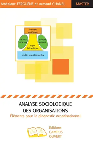 Sociologie des organisations et éléments de diagnostic organisationnel - Améziane Ferguène