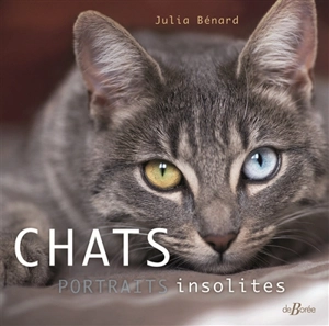Chats : portraits insolites - Julia Bénard