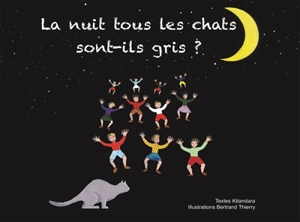 La nuit tous les chats sont-ils gris ? - Kitandara