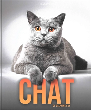 Chat - Delphine Gay