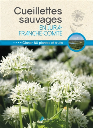 Cueillettes sauvages en Jura-Franche-Comté : glaner 60 plantes et fruits