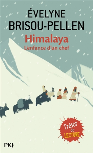 Himalaya : l'enfance d'un chef : un roman - Evelyne Brisou-Pellen