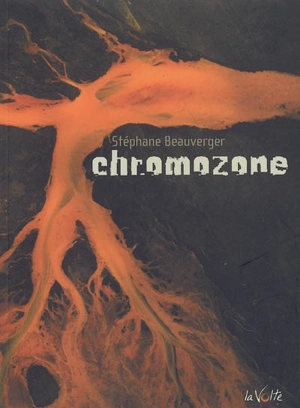 Chromozone - Stéphane Beauverger