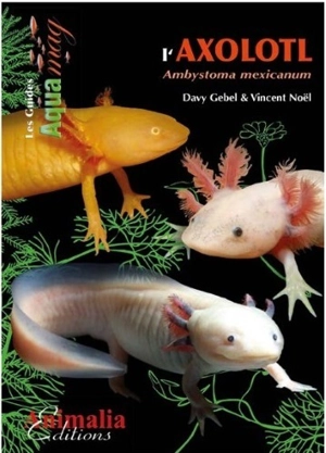 L'axolotl : ambystoma mexicanum - Davy Gebel