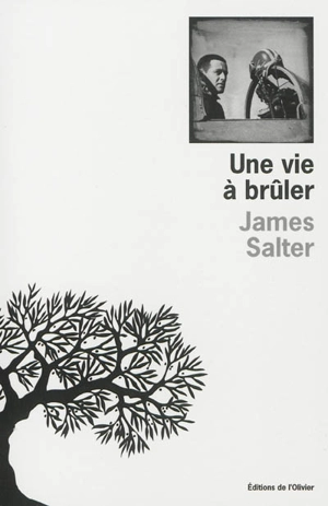 Une vie à brûler - James Salter