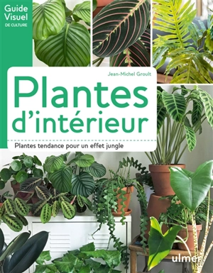 Plantes d'intérieur : plantes tendance pour un effet jungle - Jean-Michel Groult