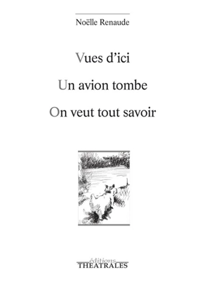 Vues d'ici. Un avion tombe. On veut tout savoir - Noëlle Renaude