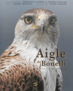 Aigle de Bonelli : méditerranéen méconnu - Thomas Roger