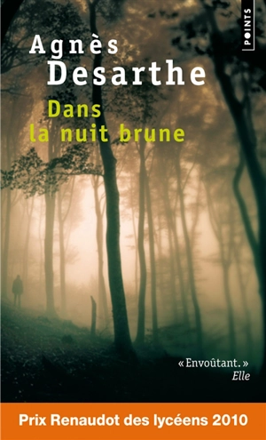 Dans la nuit brune - Agnès Desarthe