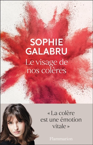 Le visage de nos colères - Sophie Galabru