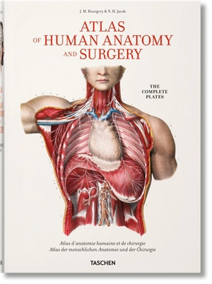 Atlas of human anatomy and surgery : complete edition of the complete coloured plates. Atlas d'anatomie humaine et de chirurgie : traité complet de l'anatomie de l'homme : édition complète des planches coloriées. Atlas der menschlichen Anatomie und C - Jean-Marc Bourgery