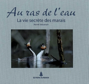 Au ras de l'eau : la vie secrète des marais - Hervé Stiévenart