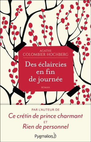 Des éclaircies en fin de journée - Agathe Colombier