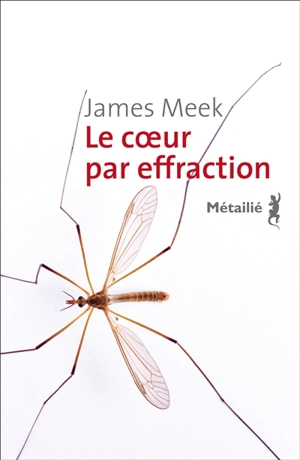 Le coeur par effraction - James Meek