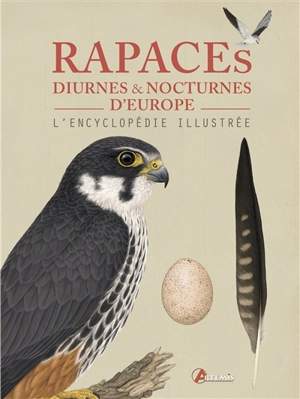 Rapaces diurnes & nocturnes d'Europe : l'encyclopédie illustrée - Paul Böhre
