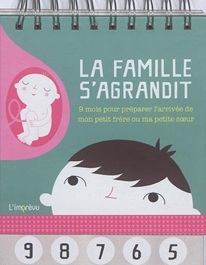 La famille s'agrandit : 9 mois pour préparer l'arrivée de mon petit frère ou ma petite soeur - Hester Zitvast