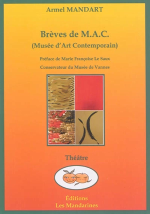 Brèves de M.A.C. (musée d'art contemporain) - Armel Mandart