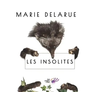 Marie Delarue : les insolites - Marie Delarue