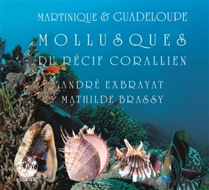 Martinique & Guadeloupe : merveilles du récif corallien. Vol. 2. Mollusques - André Exbrayat