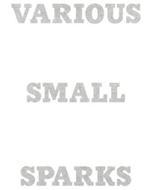 Various small sparks (and rodeo) - Anne-Valérie Gasc