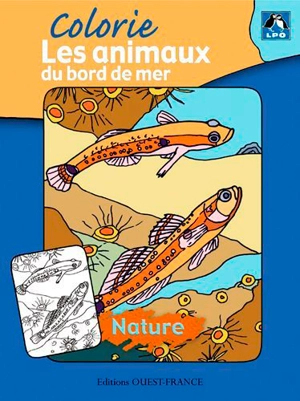 Colorie les animaux du bord de mer - Ligue pour la protection des oiseaux (France)