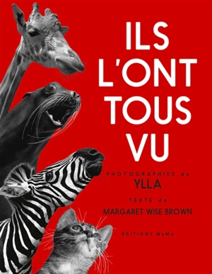 Ils l'ont tous vu - Ylla