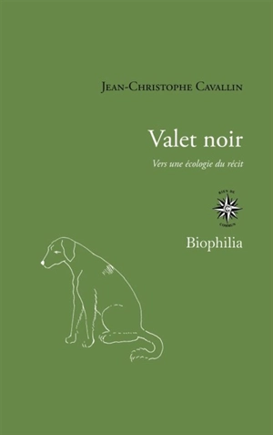 Valet noir : vers une écologie du récit - Jean-Christophe Cavallin