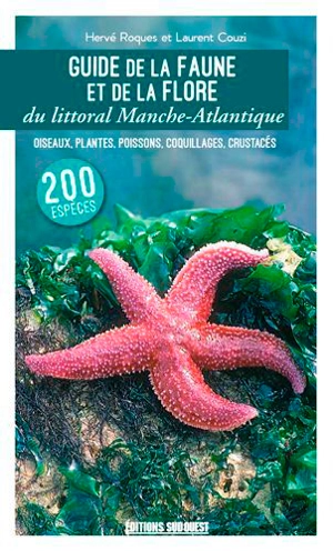 Guide de la faune et de la flore du littoral Manche-Atlantique : oiseaux, plantes, poissons, coquillages, crustacés - Laurent Couzi