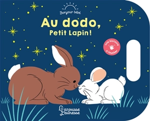 Au dodo, Petit Lapin ! - Raphaëlle Michaud