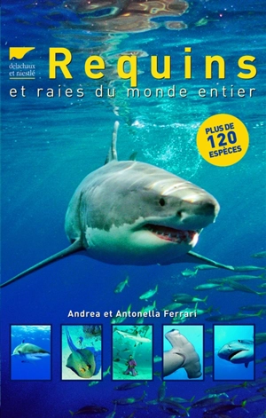 Requins et raies du monde entier : plus de 120 espèces - Andrea Ferrari