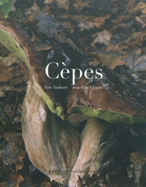 Cèpes - Eric Audinet